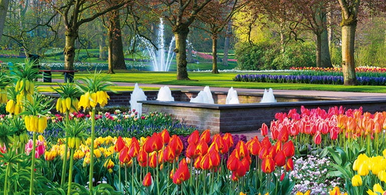 Spring flowers in the Keukenhof Gardens in the Netherlands